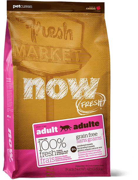 Now fresh grain 2024 free cat food