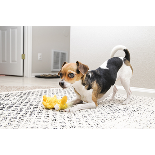 Kong - Dr. Noyz Duck - Small Dog Toy