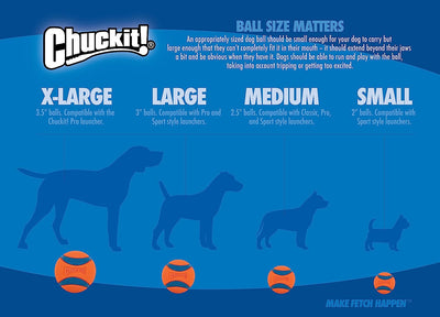 ChuckIt!-Dog-Toy-Fetch-Ball-2Pack-Medium