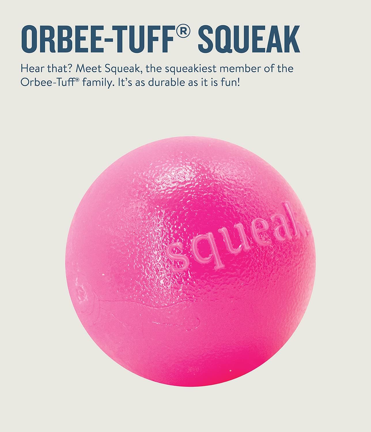 Planet Dog Orbee-Tuff Squeak Ball 