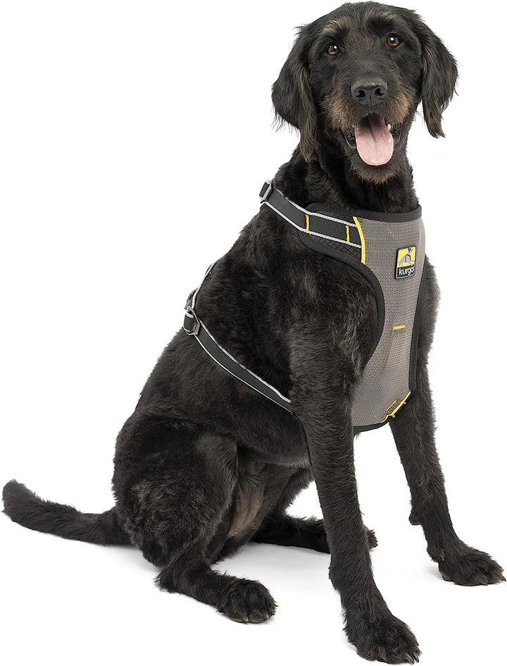 Kurgo Impact Dog Seatbelt Harness X Large The Angels Pet Store