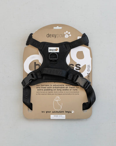 Dexypaws - Harnais pour chien sans traction