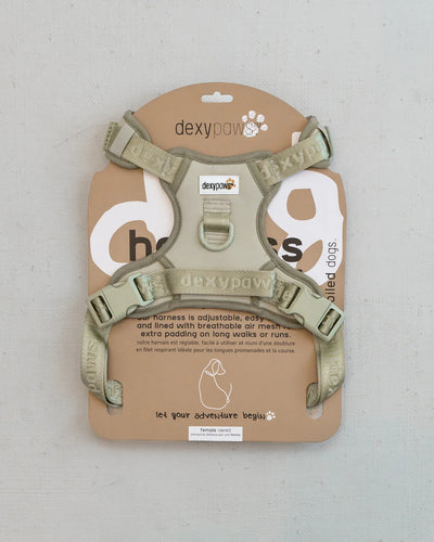 Dexypaws - Harnais pour chien sans traction