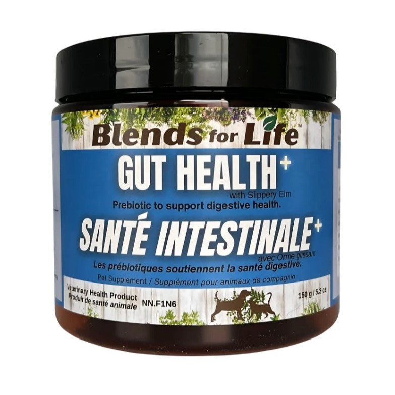 Blends for Life Gut Health+ Supplément pour animaux de compagnie