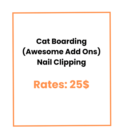 Cat Boarding (Awesome Add Ons) Nail Clipping