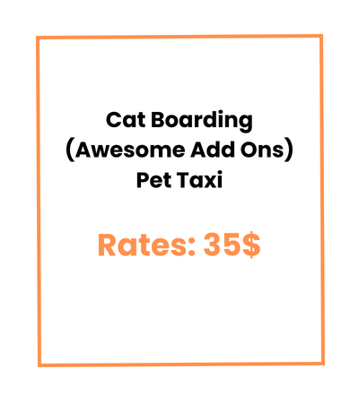 Cat Boarding (Awesome Add Ons) Pet Taxi