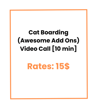 Cat Boarding (Awesome Add Ons) Video Call [10 min]