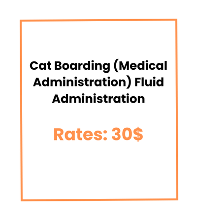 Cat Boarding (Medical Administration) Fluid Administration