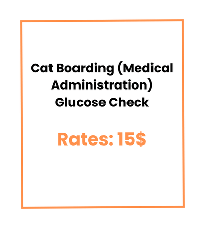 Cat Boarding (Medical Administration) Glucose Check