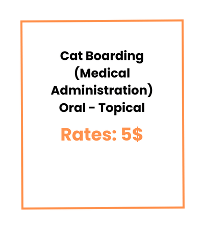 Cat Boarding (Medical Administration) Oral - Topical