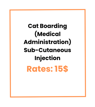 Cat Boarding (Medical Administration) Sub-Cutaneous Injection