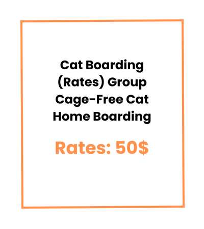 Cat Boarding (Rates) Group Cage-Free Cat Home Boarding