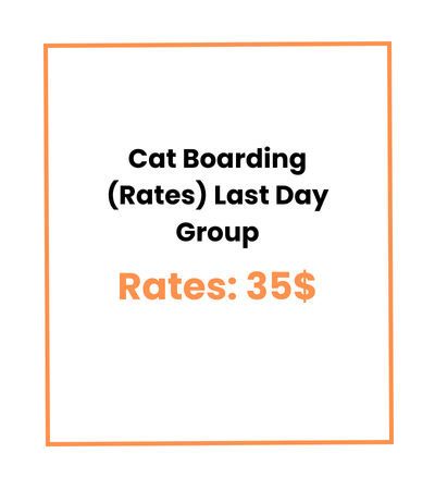 Cat Boarding (Rates) Last Day Group