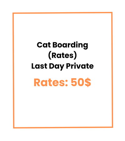 Cat Boarding (Rates) Last Day Private