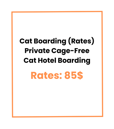 Cat Boarding (Rates) Private Cage-Free Cat Hotel Boarding