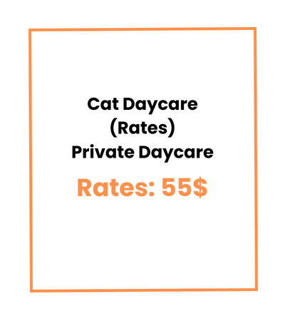 Cat Daycare (Rates) Private Daycare