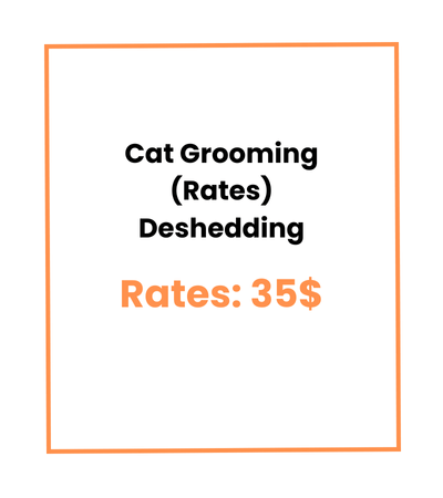 Cat Grooming (Rates) Deshedding