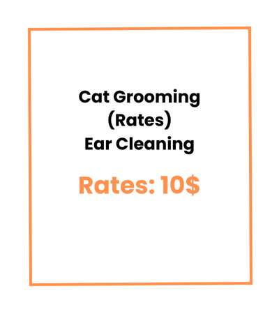 Cat Grooming (Rates) Ear Cleaning