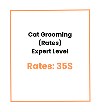 Cat Grooming (Rates) Expert Level