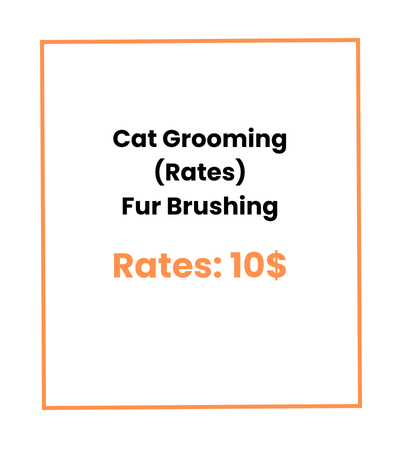 Cat Grooming (Rates) Fur Brushing