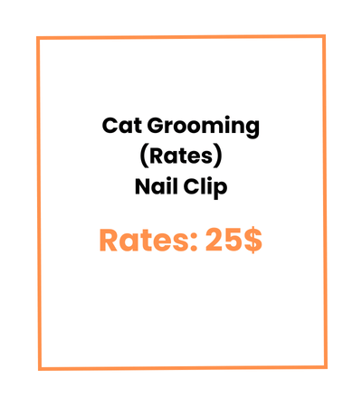 Cat Grooming (Rates) Nail Clip