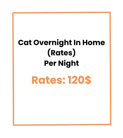 Cat Overnight In Home (Rates) Per Night