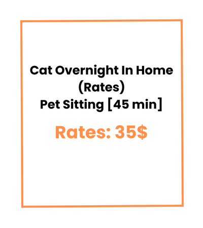 Cat Overnight In Home (Rates) Pet Sitting [45 min]