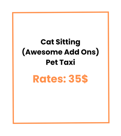 Cat Sitting (Awesome Add Ons) Pet Taxi