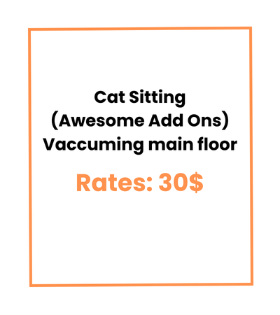 Cat Sitting (Awesome Add Ons) Vaccuming main floor