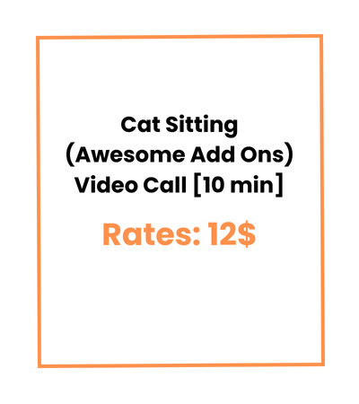 Cat Sitting (Awesome Add Ons) Video Call [10 min]