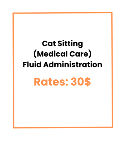 Cat Sitting (Medical Care) Fluid Administration