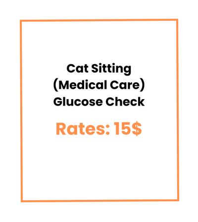 Cat Sitting (Medical Care) Glucose Check