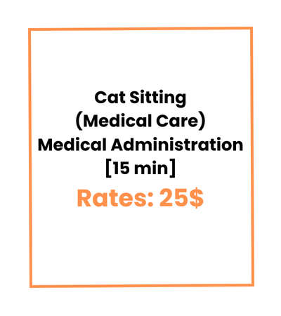 Cat Sitting (Medical Care) Medical Administration [15 min]