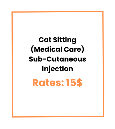 Cat Sitting (Medical Care) Sub-Cutaneous Injection