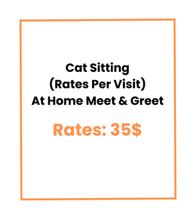 Cat Sitting (Rates Per Visit) At Home Meet & Greet