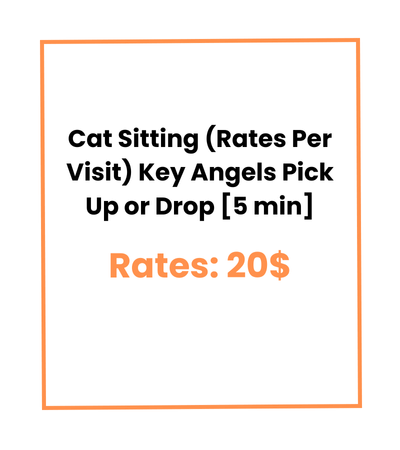 Cat Sitting (Rates Per Visit) Key Angels Pick Up or Drop [5 min]