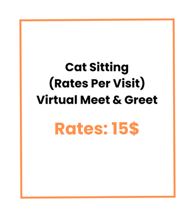 Cat Sitting (Rates Per Visit) Virtual Meet & Greet