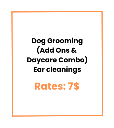 Dog Grooming (Add Ons & Daycare Combo) Ear cleanings