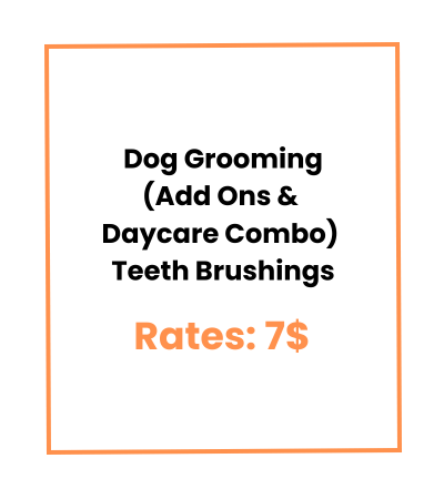 Dog Grooming (Add Ons & Daycare Combo) Teeth Brushings