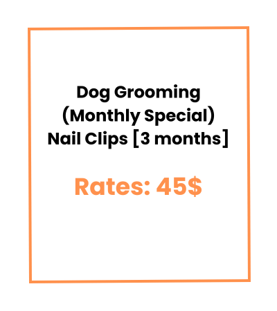 Dog Grooming (Monthly Special) Nail Clips [3 months]