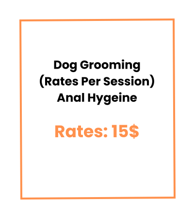 Dog Grooming (Rates Per Session) Anal Hygeine