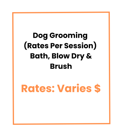 Dog Grooming (Rates Per Session) Bath, Blow Dry & Brush