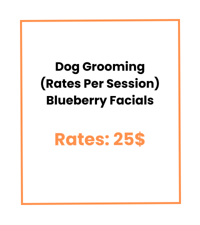 Dog Grooming (Rates Per Session) Blueberry Facials