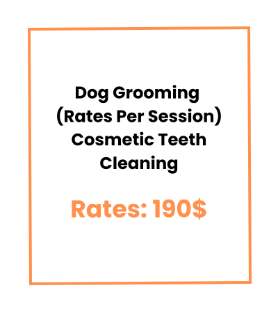 Dog Grooming (Rates Per Session) Cosmetic Teeth Cleaning