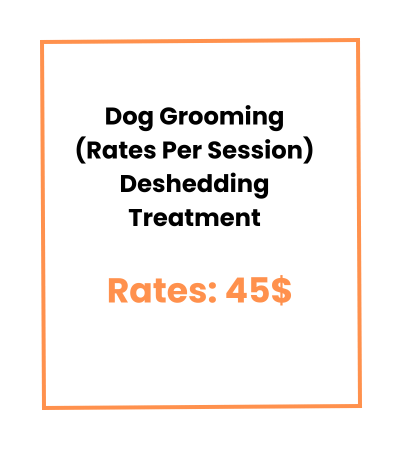 Pet Grooming Spa