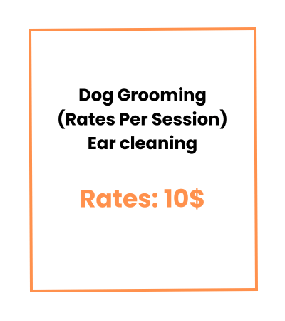 Dog Grooming (Rates Per Session) Ear cleaning