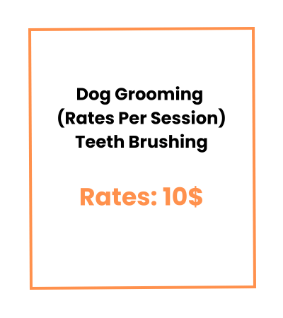 Dog Grooming (Rates Per Session) Teeth Brushing