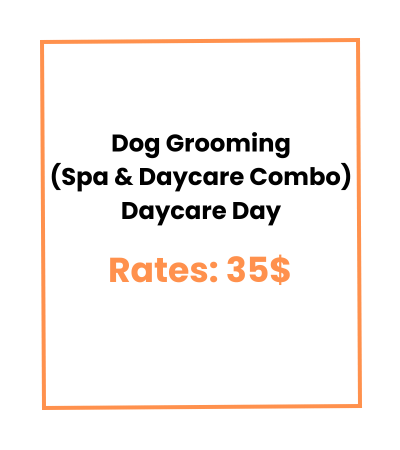 Dog Grooming (Spa & Daycare Combo) Daycare Day