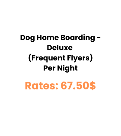 Dog Home Boarding - Deluxe (Frequent Flyers) Per Night