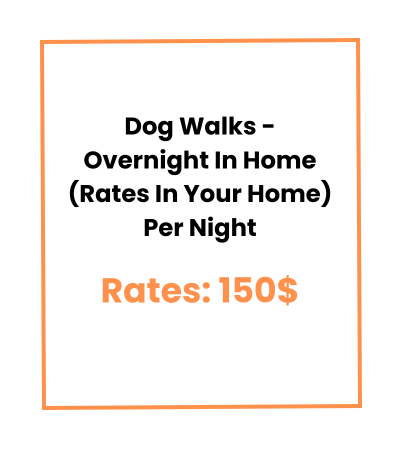 Dog Walks - Overnight In Home (Rates In Your Home) Per Night